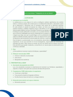 Anexo Experiencia PDF
