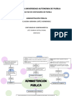 A1 Division de Poderes PDF