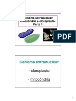 T14-Genoma Extranuclear-Parte 1 2017-18 (Modo de Compatibilidade)