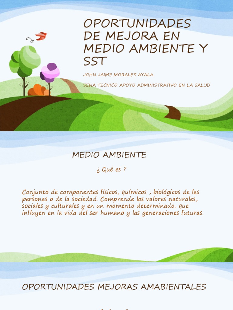 Oportunidades de Mejora en SST y Medio Ambiente | PDF | Entorno natural