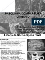 Patologia Do Aparelho Urinário PDF