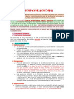 Resumen de Parcial - 2 Embrio PDF