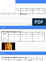 ZAMBA Diapositivas PDF