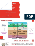 2023 - Tema 4. Divisón Aferente PDF