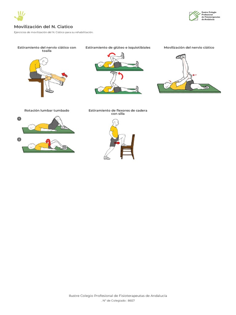 Ejercicios de Estiramiento para Ciática | PDF