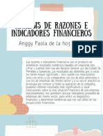 Análisis de Razones e Indicadores Financieros.