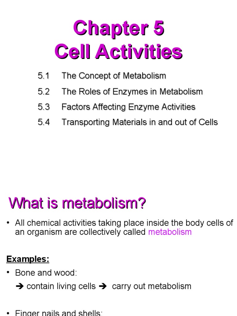 Understanding Cell Metabolism and Enzymes | PDF | Osmosis | Metabolism