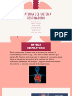Sistema Respiratorio PDF