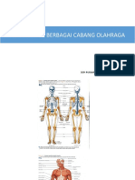 Cedera Pada Berbagai Cabang Olahraga