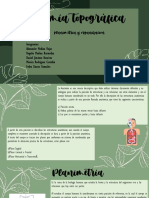 Anatomia Topografica 2 PDF