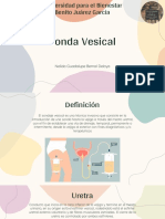 Sondaje vesical: definición, tipos y procedimiento