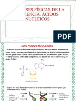 4.1. Bases Físicas de La Herencia. Ácidos