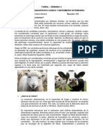 Informe Semana 4 PDF