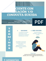 Salud Mental PDF