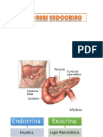 Pancreas, PDF