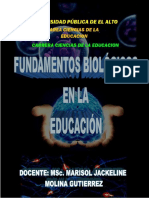 Fundamentos biológicos en la educación