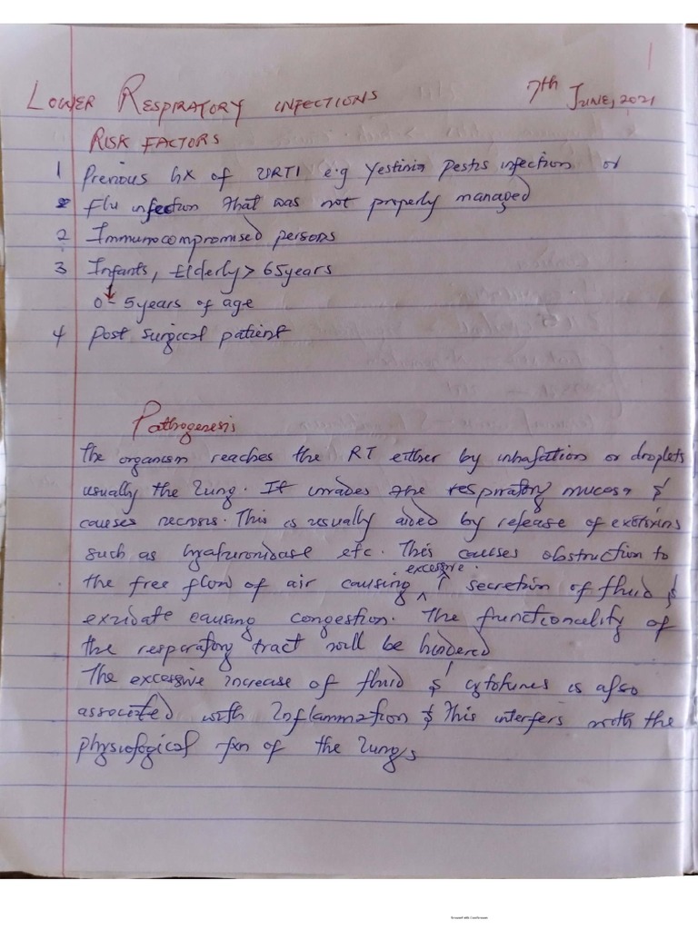 lrti-pdf