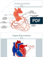 Infarto Agudo Al Miocardio