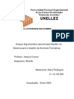 Marlyrodriguez Ensayo ML PDF
