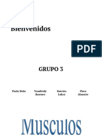 Grupo 3 Los Musculos Parte Superior y Parte Inferior - Presentación