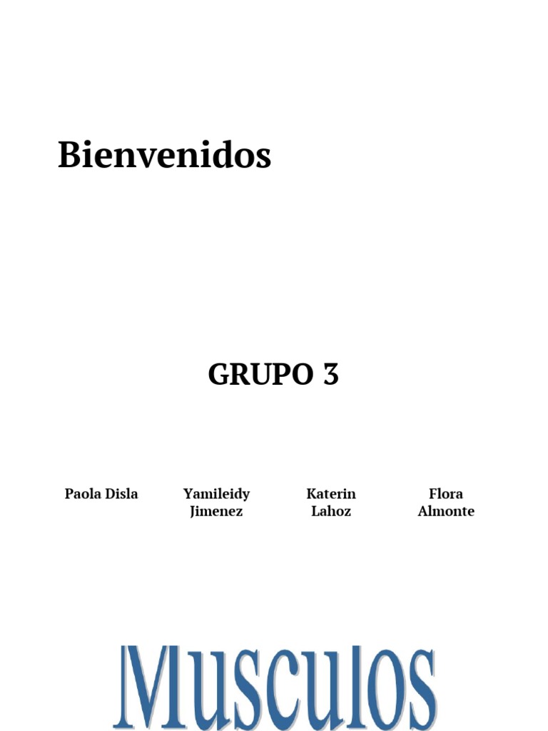 Grupo 3 los musculos parte superior y parte inferior presentaci n pdf