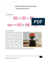 Investigación Del Mesocosmo PDF