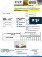 Ficha de Mant - Prueba Hidros. de Cloro Gas 23 PDF