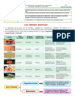 Archaea y Bacteria Reinos