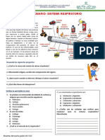 Cuestionario Sist Respiratorio