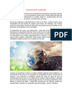 Contaminación Ambiental PDF