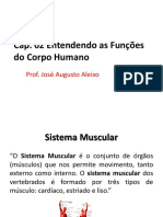 Aula 2 PDF