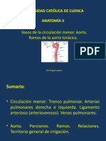 Clase 3 Anatomia Ii Vasos Circulac Menor y Aorta, Sus Porciones y Ramos