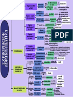 Mapa Conceptual La Expropiación PDF