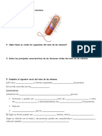 Tema 4 - Examen 1 Eso