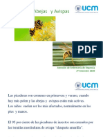 6) Picadura de Abejas PDF
