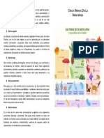 Los cinco reinos de la clasificación biológica