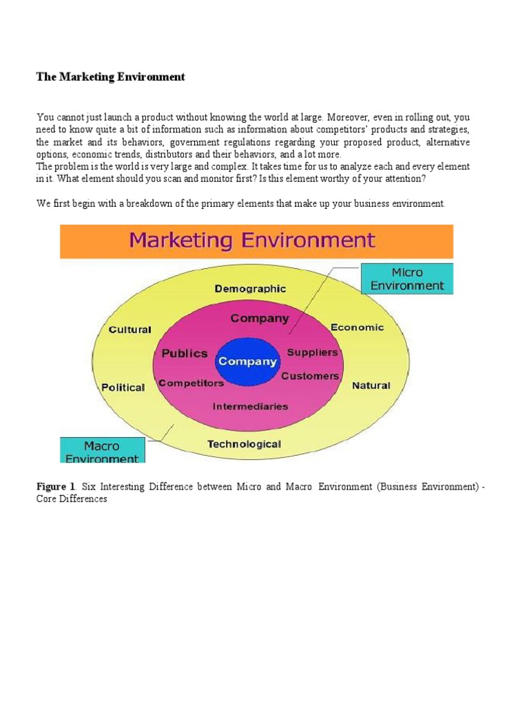 Marketing Environment | PDF | Business | Social Science