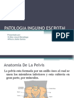 Patologia Inguino Escrotal Final2