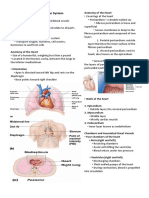 1205 Cardiovascvular PDF