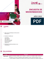 Presentacion Micronegocios 2022 PDF