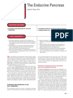 The Endocrine Pancreas