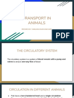 Chapter 9 - Transport in Animals PDF