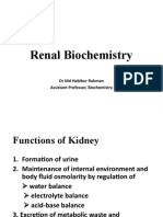 Renal Biochemistry
