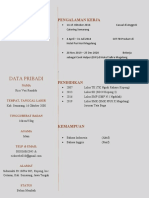 Data Pribadi: Pengalaman Kerja