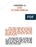 Phap-Luat-Dai-Cuong - Ha-Thi-Thuy-Duong - 13-Luat-To-Tung-Hinh-Su - (Cuuduongthancong - Com)