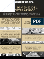 Infografia Narcotrafico PDF