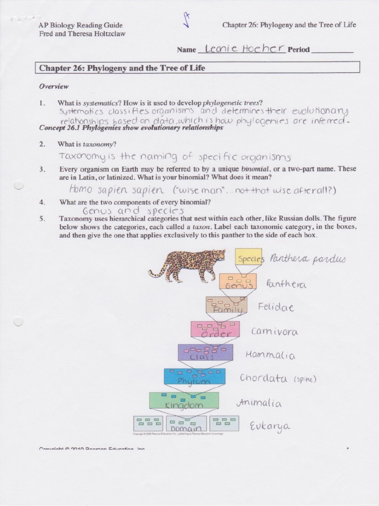 ch26 Readingguide | PDF