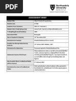 Nonogram Assignment Instructions 2022