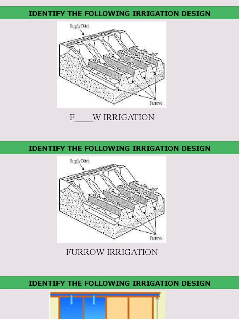 Furrow and Border Irrigation Designs | PDF | Irrigation | Intensive Farming