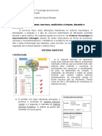 ATIVIDADE Resposta Dos Sistemas Nervoso, Endócrino e Imune, Durante o Exercício PDF